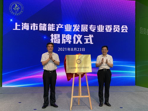 节能宣传周启幕 上海储能产业发展委员会成立 全力攻坚新兴能源技术研发