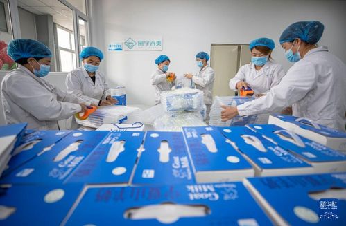 坚持统筹发展和安全 落实新时代推动西部大开发座谈会精神系列综述之四 新兴能源技术研发